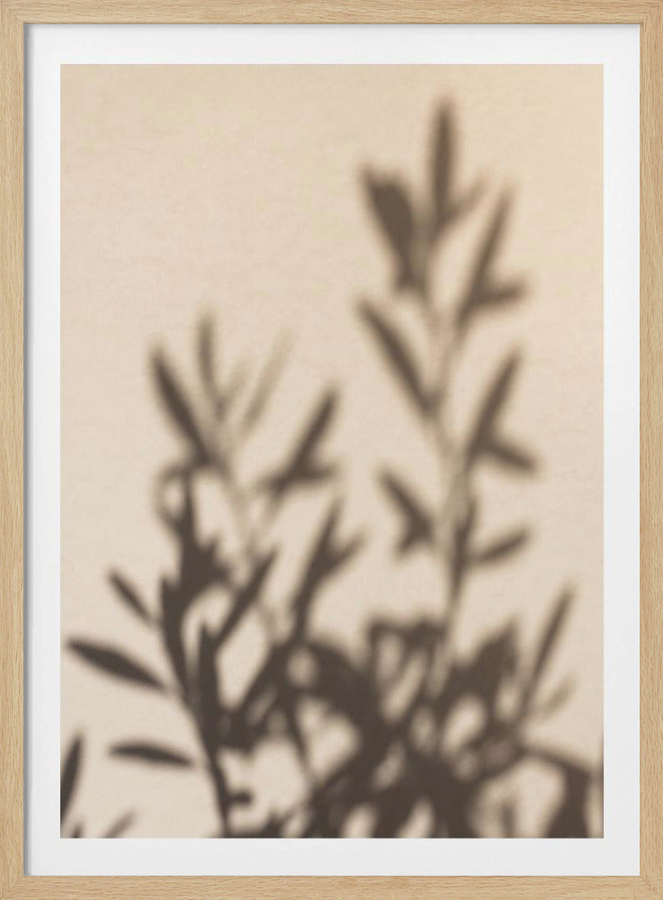 Summer Shadows 6 - Poster / Art Print