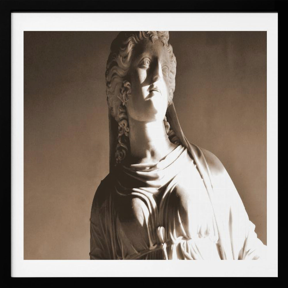Face the Sun - Poster / Art Print