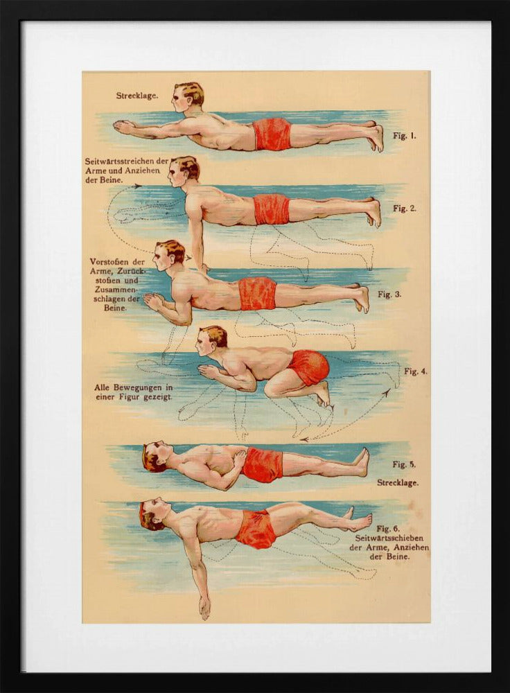 Swim - Poster / Art Print
