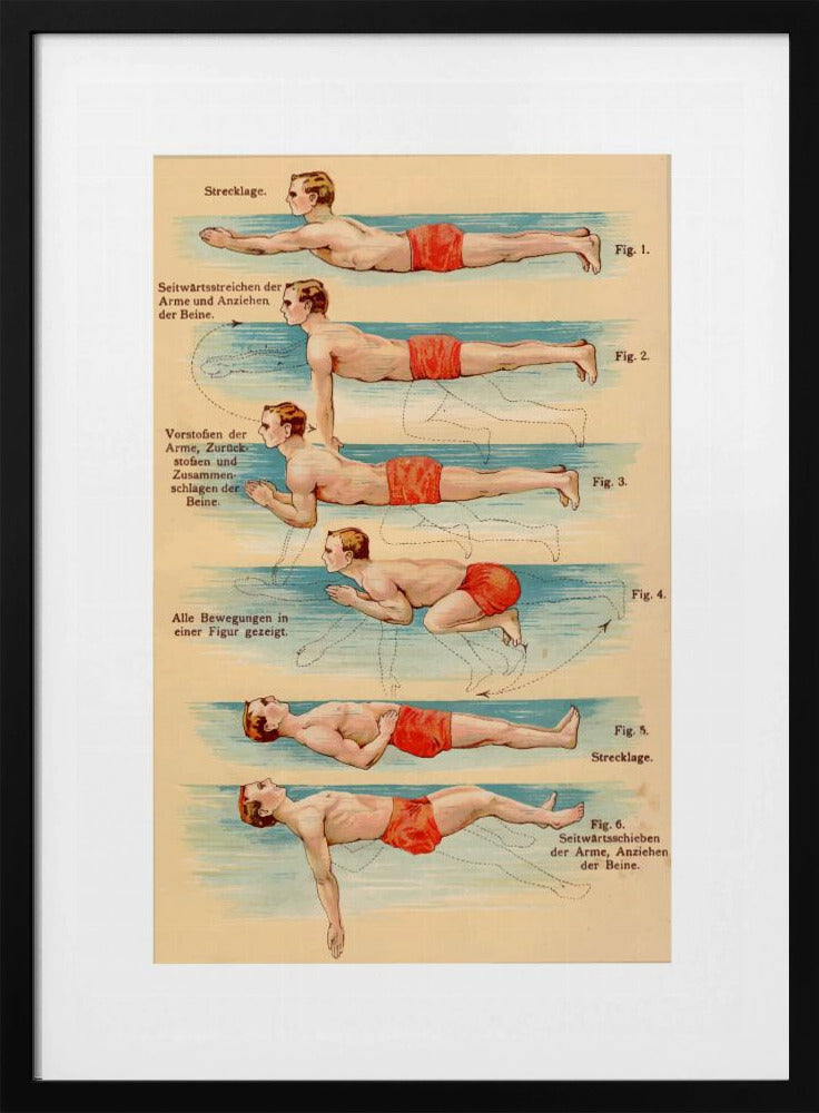 Swim - Poster / Art Print