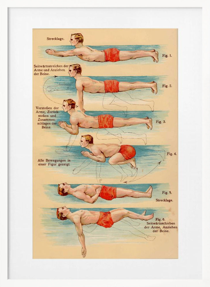 Swim - Poster / Art Print