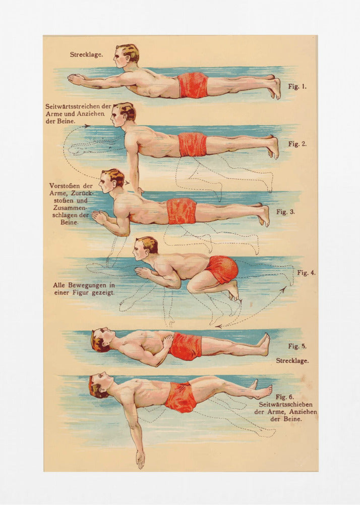 Swim - Poster / Art Print