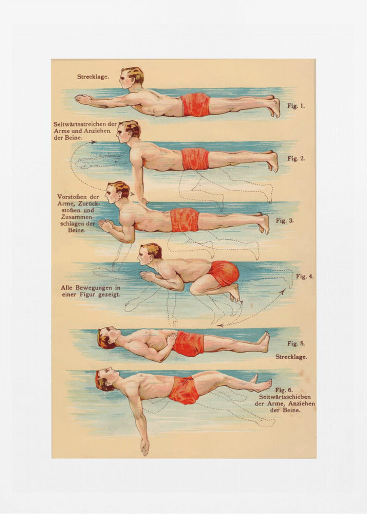 Swim - Poster / Art Print