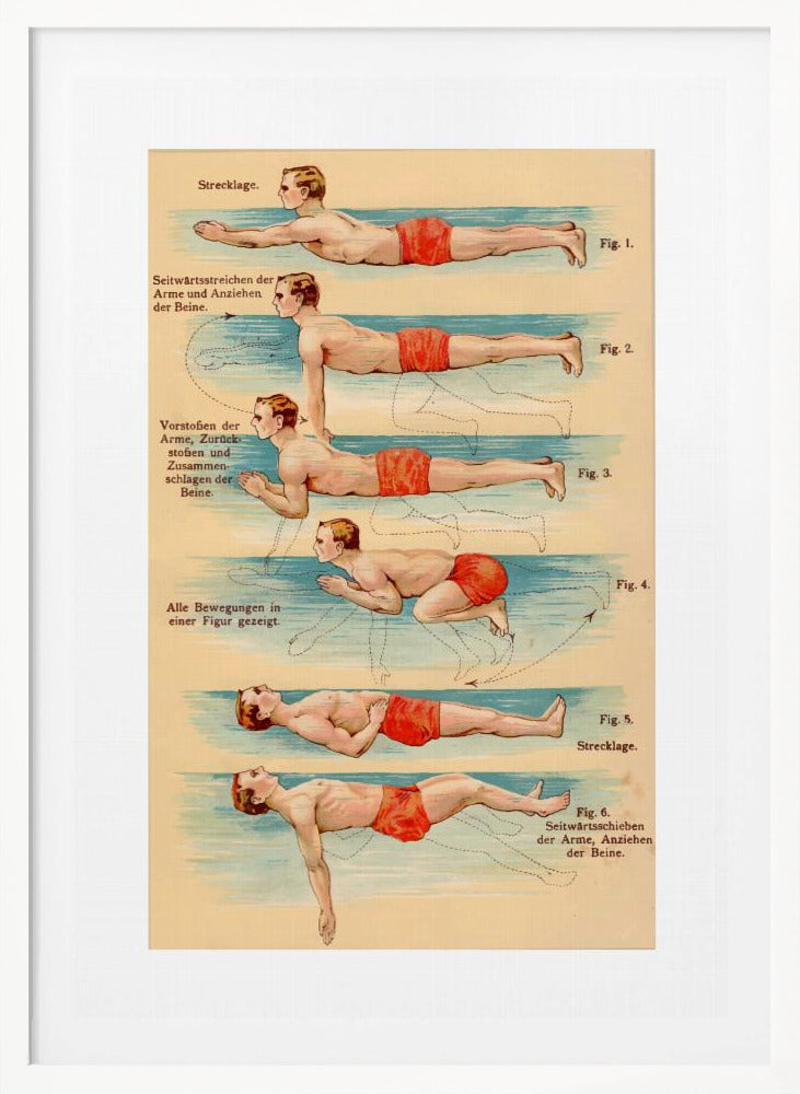Swim - Poster / Art Print