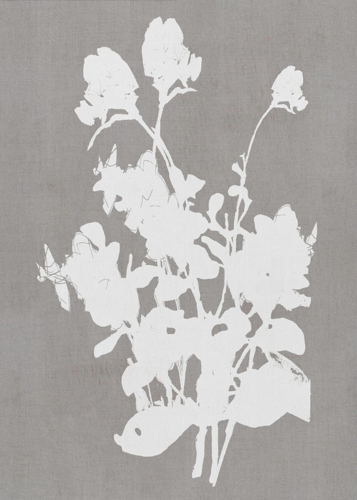 Botanical Illustration 3 - Poster / Art Print