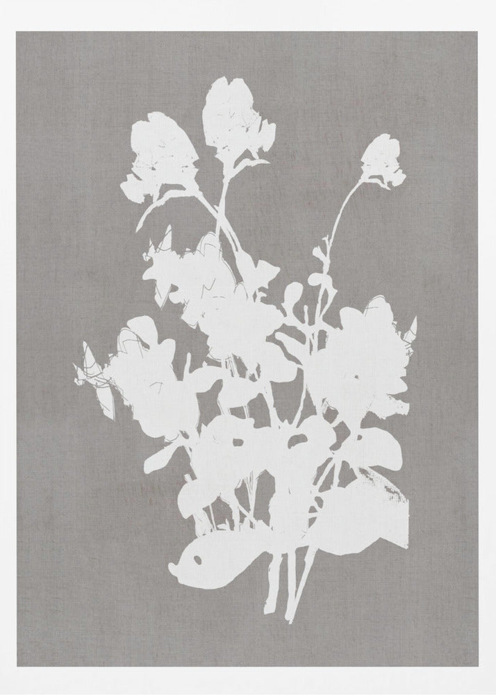 Botanical Illustration 3 - Poster / Art Print