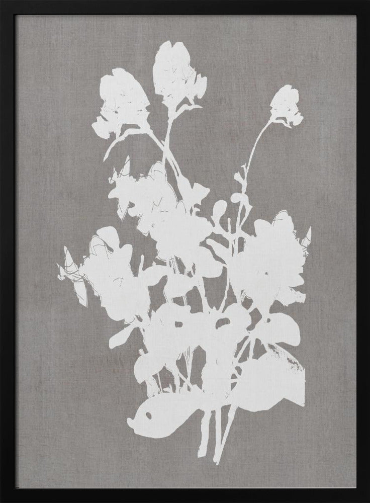 Botanical Illustration 3 - Poster / Art Print