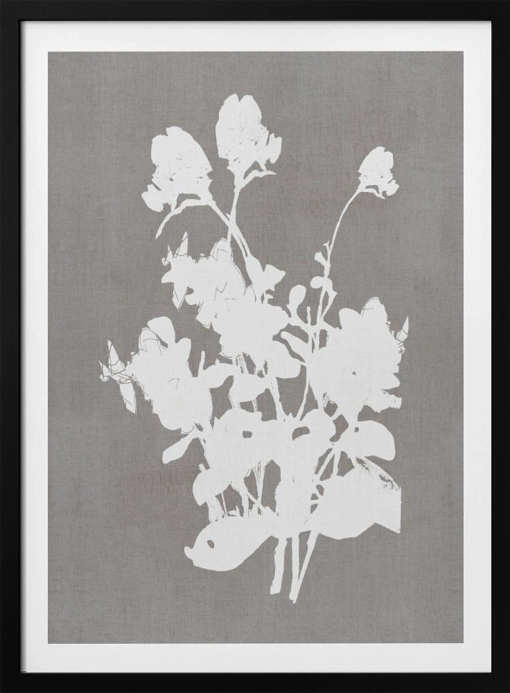 Botanical Illustration 3 - Poster / Art Print