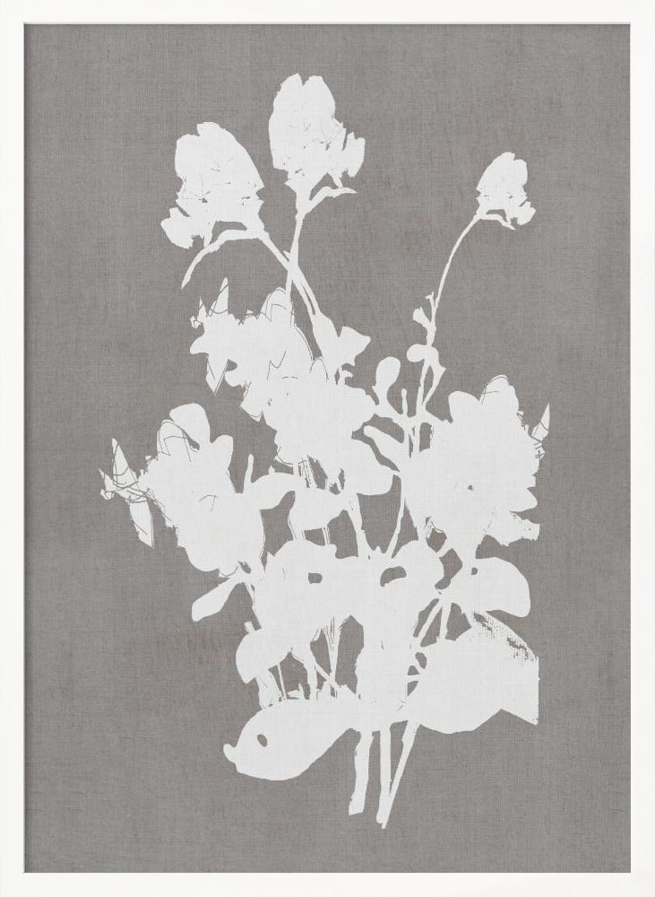 Botanical Illustration 3 - Poster / Art Print