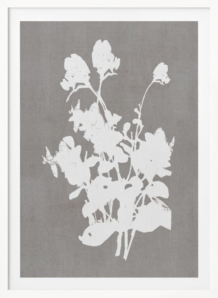 Botanical Illustration 3 - Poster / Art Print