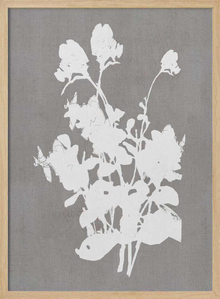 Botanical Illustration 3 - Poster / Art Print