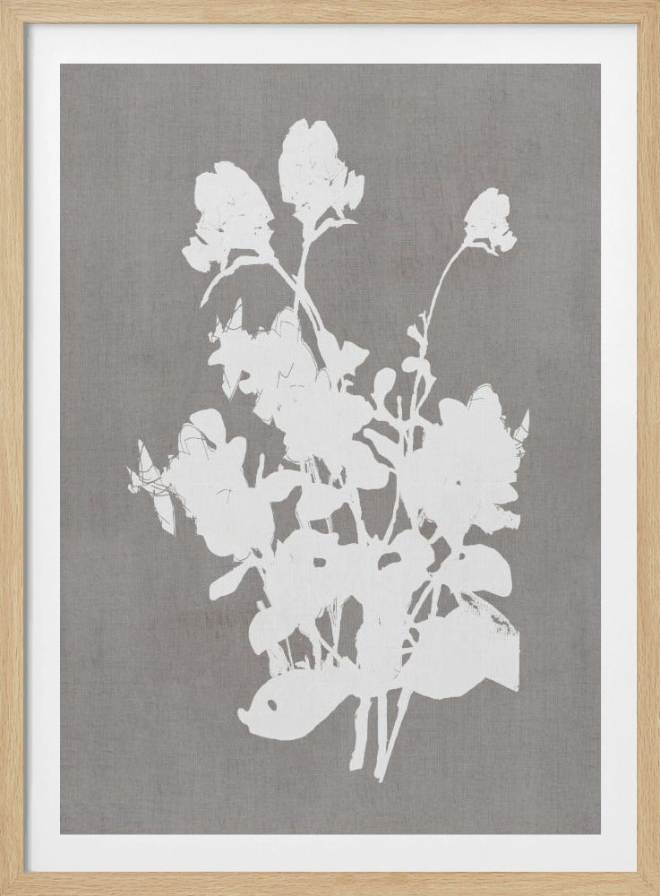 Botanical Illustration 3 - Poster / Art Print