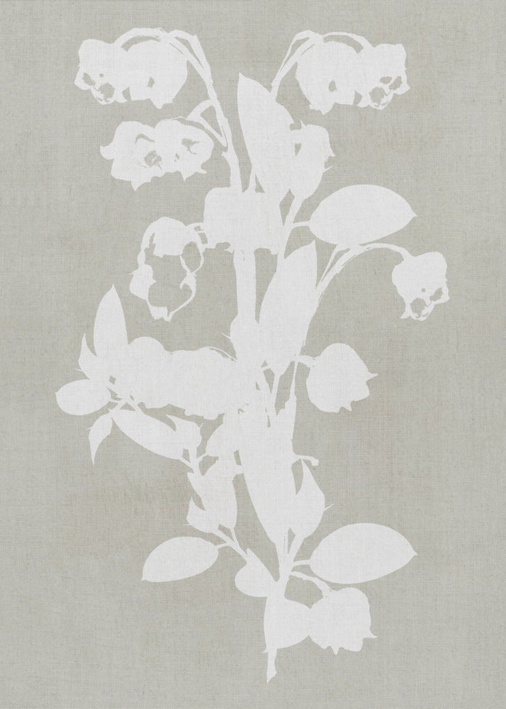 Botanical Illustration 4 - Poster / Art Print