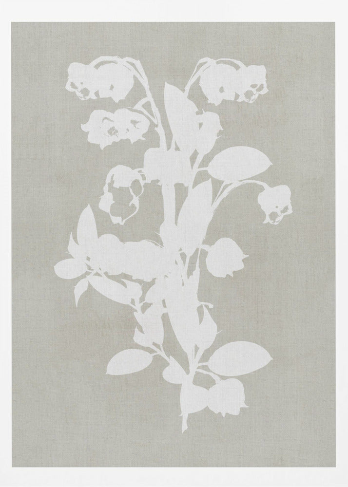 Botanical Illustration 4 - Poster / Art Print