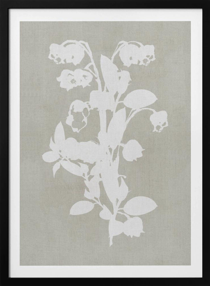 Botanical Illustration 4 - Poster / Art Print