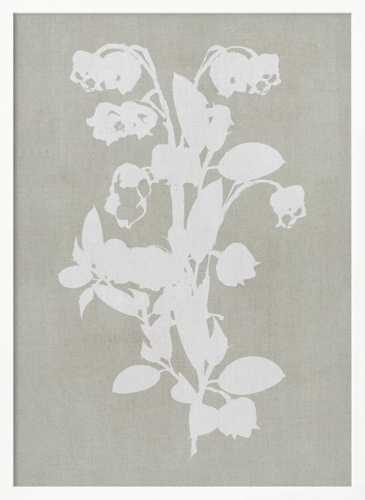 Botanical Illustration 4 - Poster / Art Print