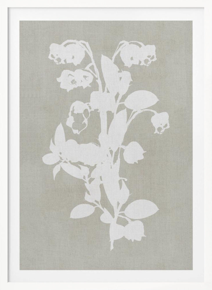 Botanical Illustration 4 - Poster / Art Print