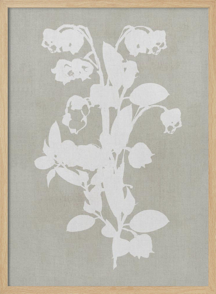 Botanical Illustration 4 - Poster / Art Print
