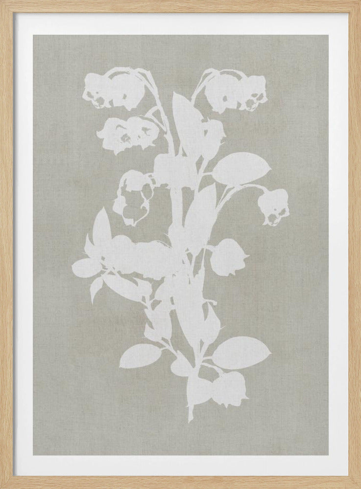 Botanical Illustration 4 - Poster / Art Print