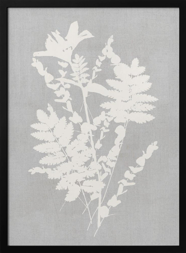 Botanical Illustration 5 - Poster / Art Print