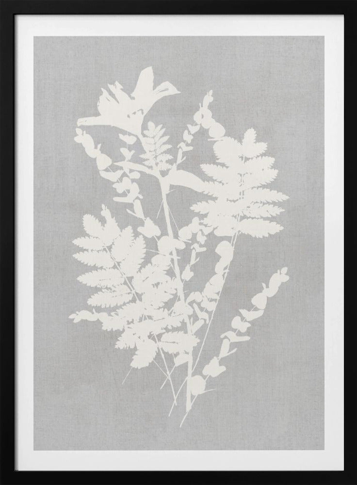 Botanical Illustration 5 - Poster / Art Print