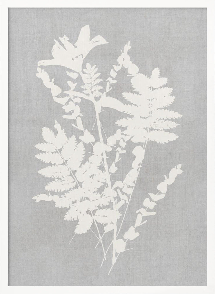 Botanical Illustration 5 - Poster / Art Print