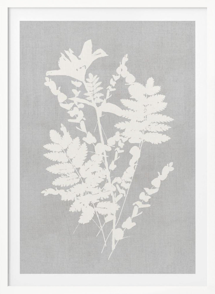Botanical Illustration 5 - Poster / Art Print
