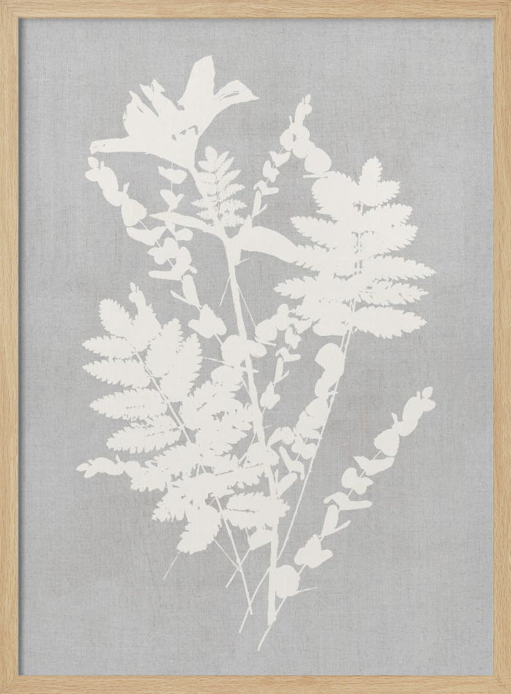 Botanical Illustration 5 - Poster / Art Print