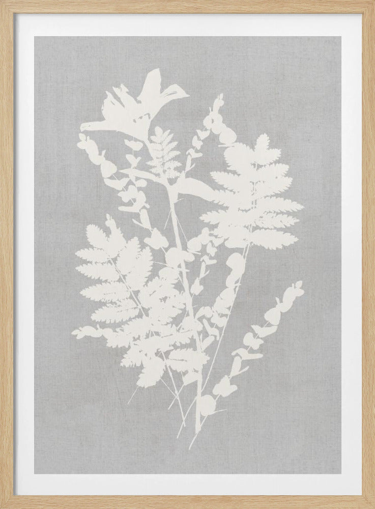 Botanical Illustration 5 - Poster / Art Print