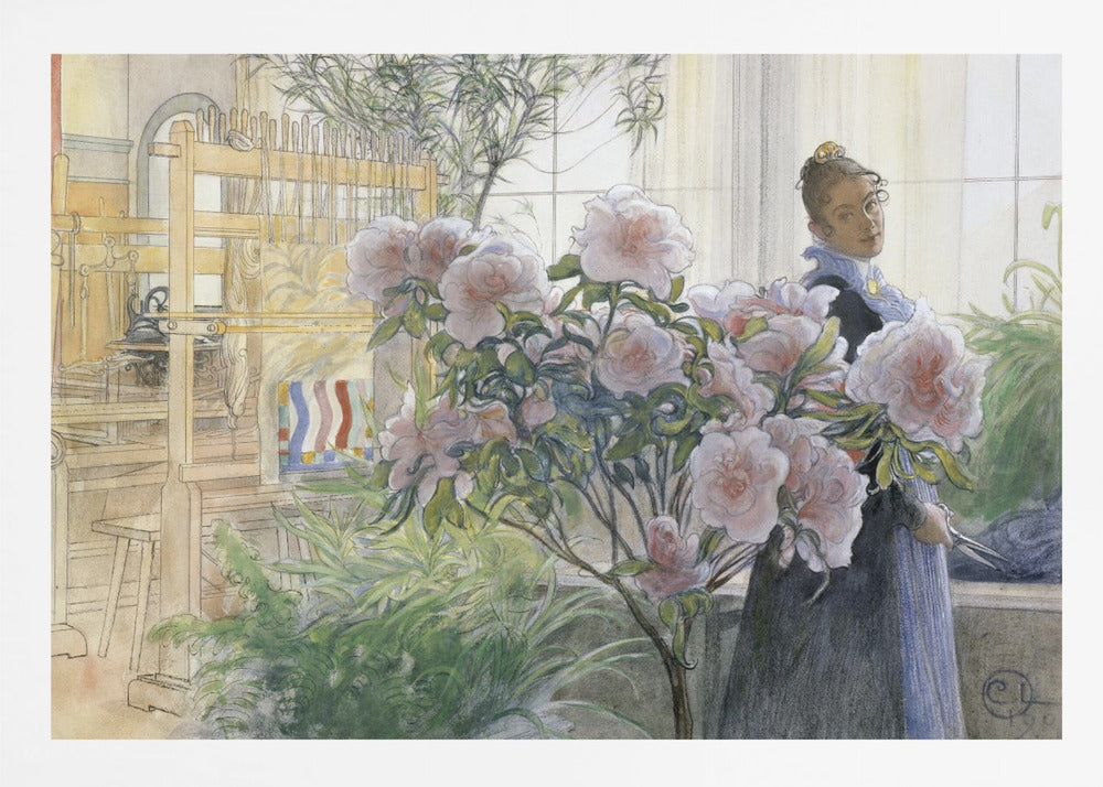 Azalea (1906) - Poster / Art Print