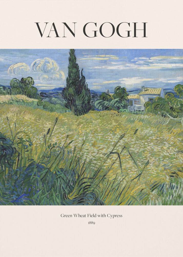 Green Wheat Field With Cypress (1889) Van Gogh - Poster / Art Print