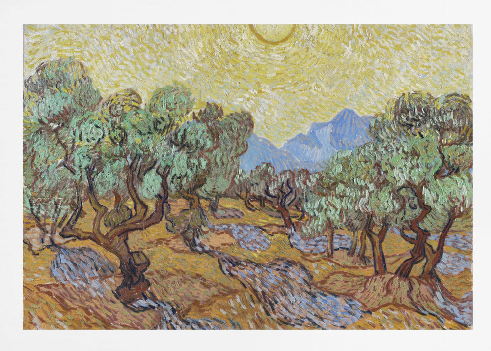 Vincent Van Gogh's Olive Trees (1889) - Poster / Art Print