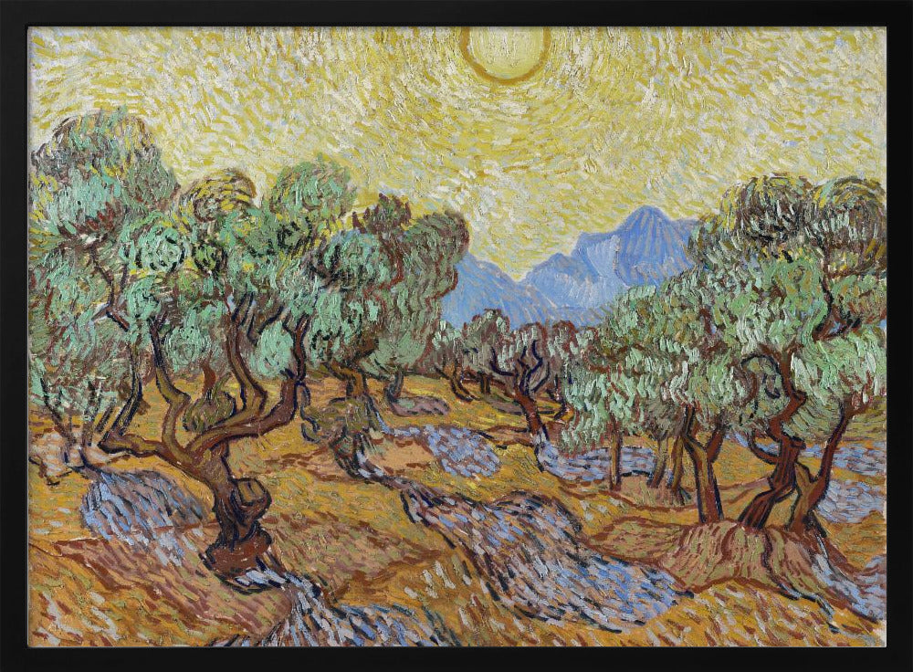 Vincent Van Gogh's Olive Trees (1889) - Poster / Art Print