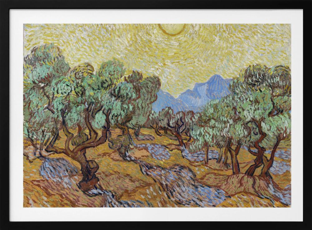 Vincent Van Gogh's Olive Trees (1889) - Poster / Art Print
