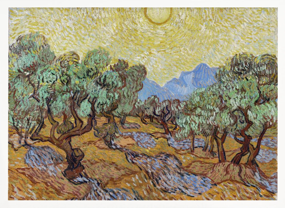 Vincent Van Gogh's Olive Trees (1889) - Poster / Art Print