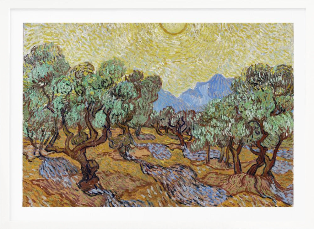 Vincent Van Gogh's Olive Trees (1889) - Poster / Art Print