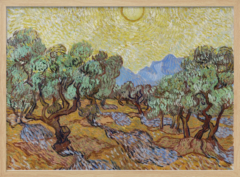 Vincent Van Gogh's Olive Trees (1889) - Poster / Art Print