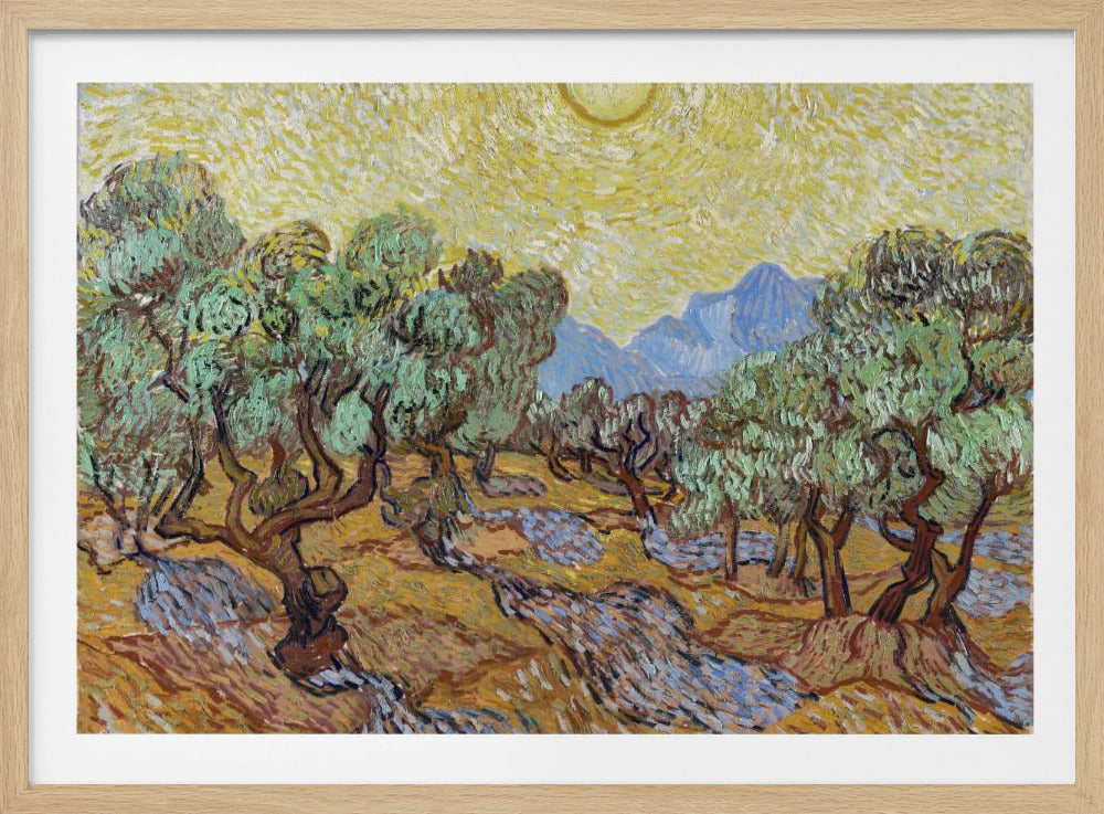 Vincent Van Gogh's Olive Trees (1889) - Poster / Art Print