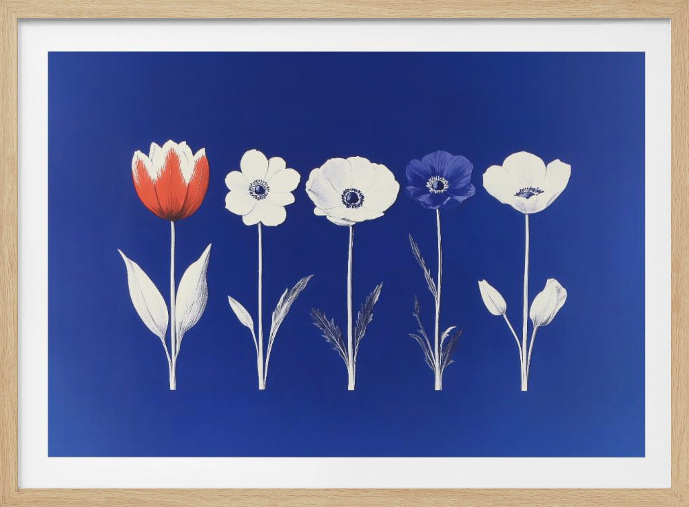 A framed art print showing five flowers in a horizontal line against a vibrant royal blue background. The flowers are illustrated in a graphic style, with one red tulip, one blue anemone, and three white anemones. The stems and leaves are depicted in white and grey tones. The artwork is enclosed in a silver frame. Poster