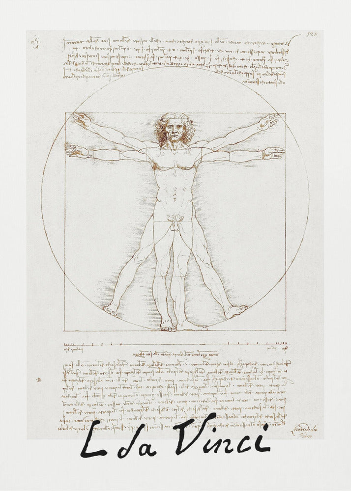 Vitruvian Man Signature - Poster / Art Print