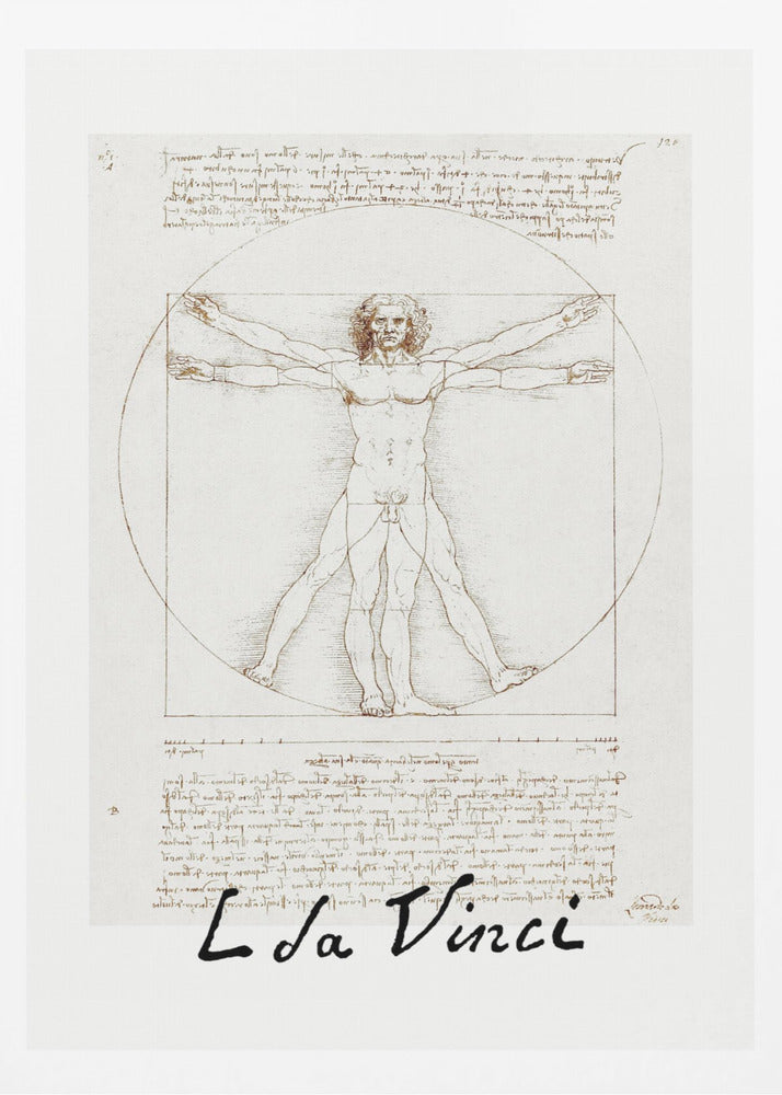 Vitruvian Man Signature - Poster / Art Print