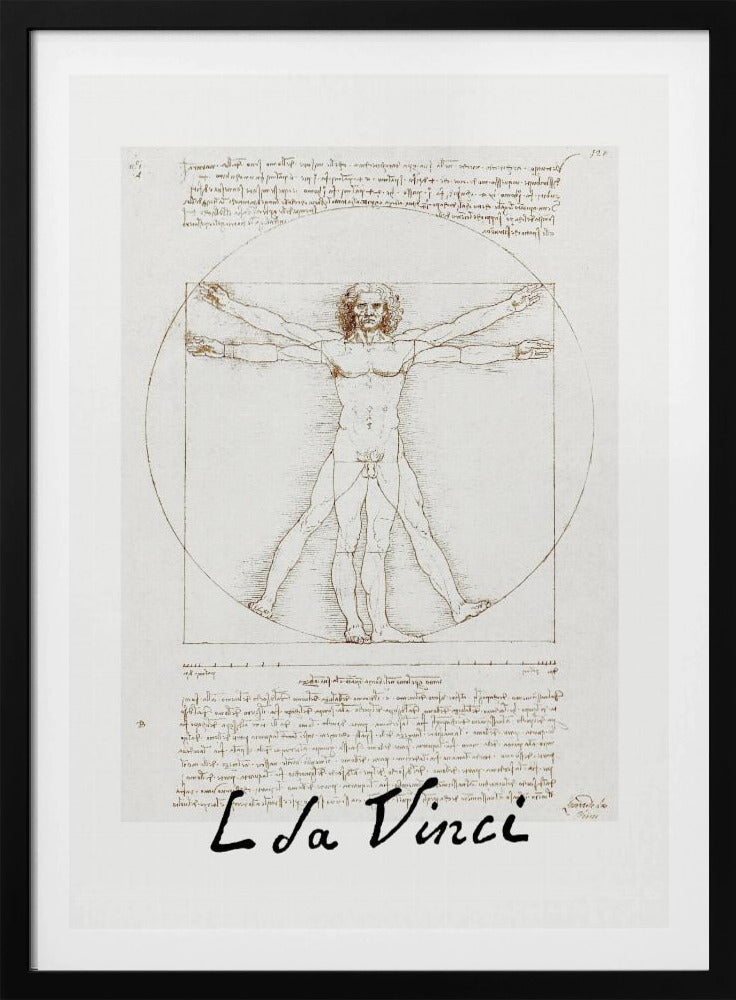Vitruvian Man Signature - Poster / Art Print