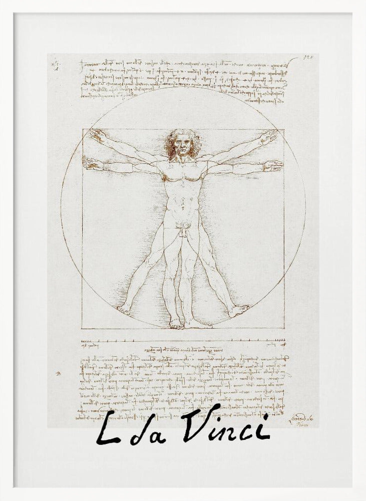 Vitruvian Man Signature - Poster / Art Print