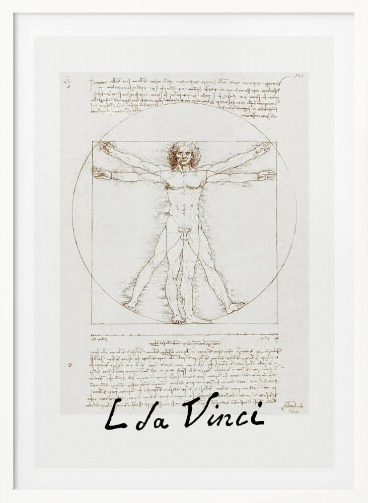 Vitruvian Man Signature - Poster / Art Print