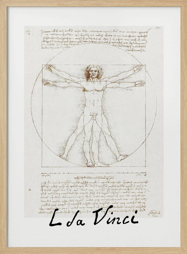 Vitruvian Man Signature - Poster / Art Print
