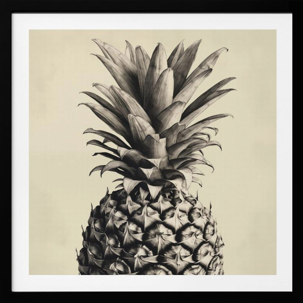 Pineapple - Poster / Art Print
