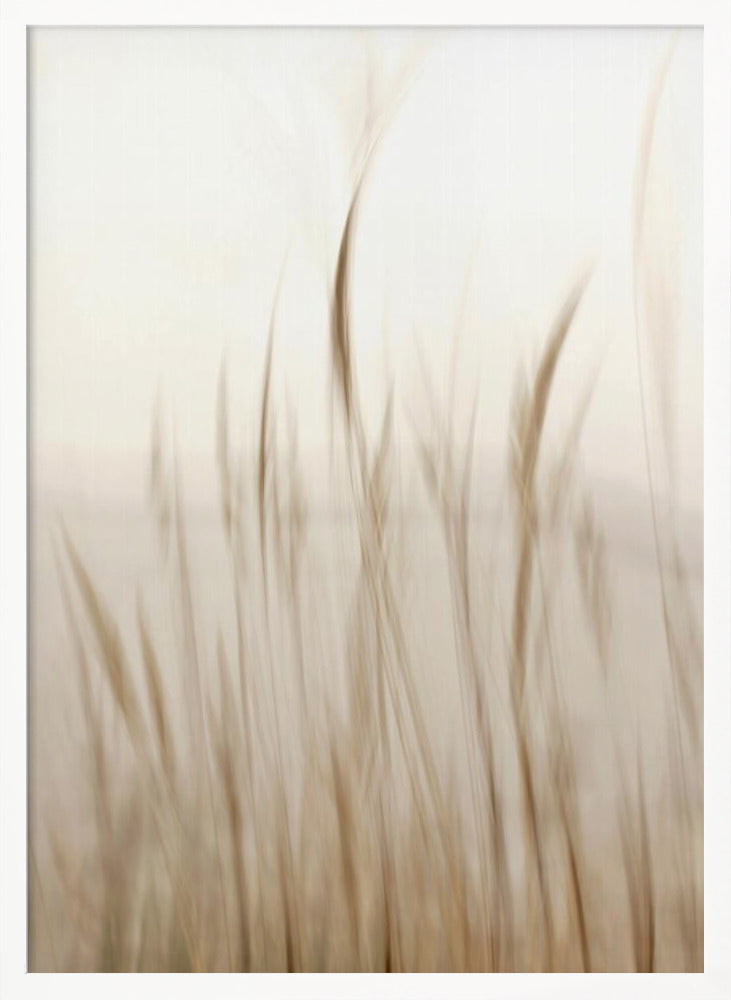 In the wind - Poster / Art Print