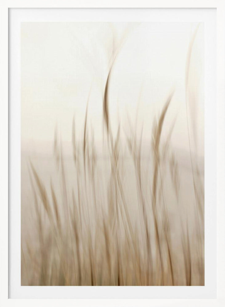 In the wind - Poster / Art Print