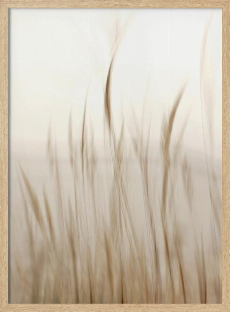 In the wind - Poster / Art Print