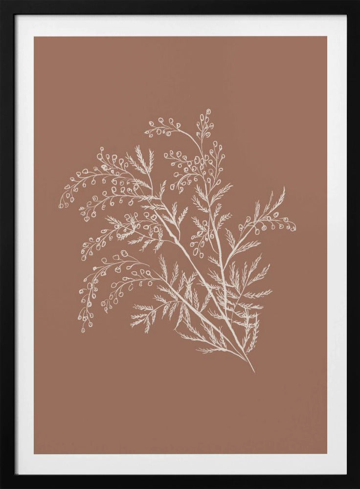 Acacia Botanical Branch - Poster / Art Print